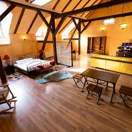 The Attic - Large Open-space In The Old Town Of Brasov, Minutes Away From The Black Church * Μπρασόβ