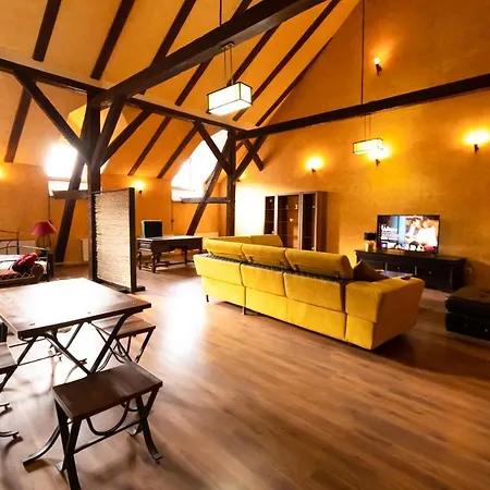 The Attic - Large Open-space In The Old Town Of Brasov, Minutes Away From The Black Church Appartement Braşov