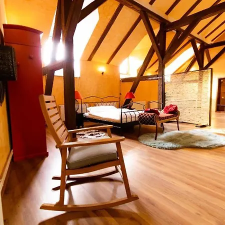 The Attic - Large Open-space In The Old Town Of Brasov, Minutes Away From The Black Church