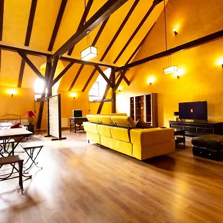 The Attic - Large Open-space In The Old Town Of Brasov, Minutes Away From The Black Church Μπρασόβ