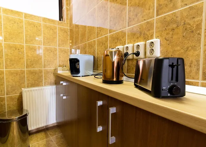 The Attic - Large Open-space In The Old Town Of Brasov, Minutes Away From The Black Church Apartment *