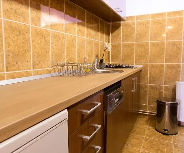 Apartment The Attic - Large Open-space In The Old Town Of Brasov, Minutes Away From The Black Church Brasov