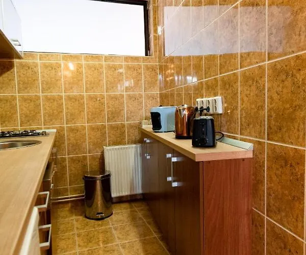 Apartment The Attic - Large Open-space In The Old Town Of Brasov, Minutes Away From The Black Church *